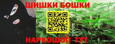 гидропоника Будённовск