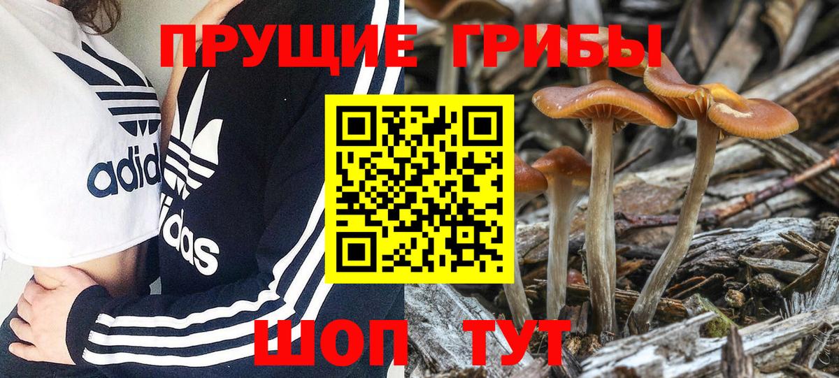 Соль-Илецк  Галлюциногенные грибы мицелий  Вход с VPN 
