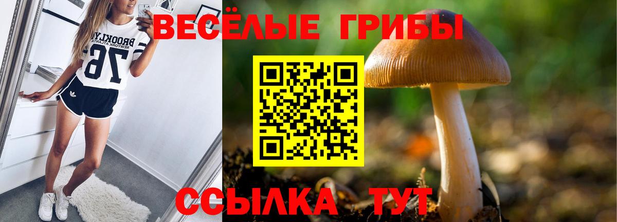Галлюциногенные грибы мухоморы Соль-Илецк